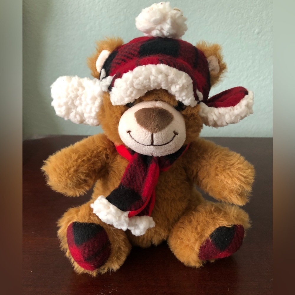 Winter Stuff Teddy Bear with Scarf and Winter Apparel